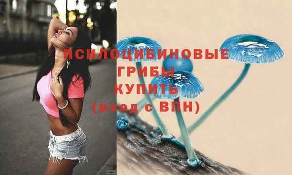 2c-b Абаза