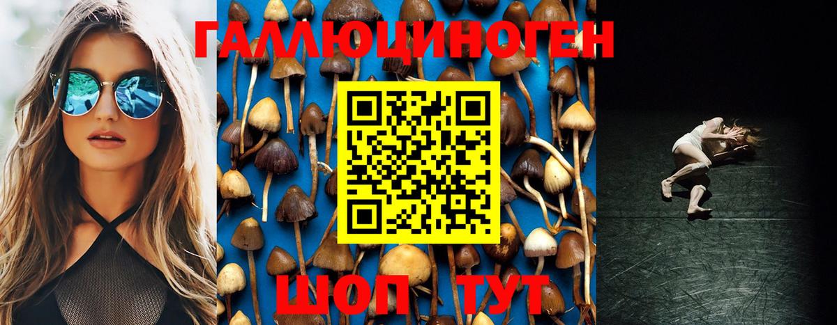 Псилоцибиновые грибы мухоморы Октябрьский